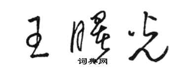 駱恆光王曙光草書個性簽名怎么寫