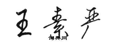 駱恆光王素嚴行書個性簽名怎么寫