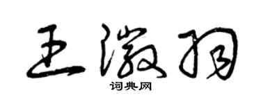 曾慶福王徽羽草書個性簽名怎么寫