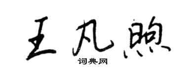 王正良王凡煦行書個性簽名怎么寫