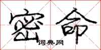 龐中華密命行書怎么寫