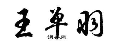 胡問遂王單羽行書個性簽名怎么寫