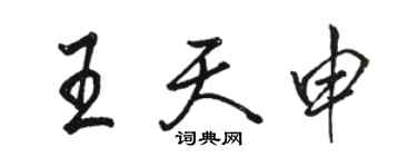 駱恆光王天申行書個性簽名怎么寫