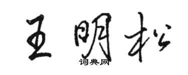 駱恆光王明松行書個性簽名怎么寫