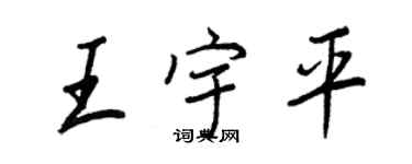 王正良王宇平行書個性簽名怎么寫
