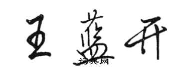 駱恆光王藍開行書個性簽名怎么寫