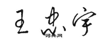 駱恆光王忠宇草書個性簽名怎么寫