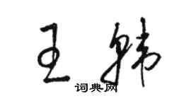 駱恆光王韓草書個性簽名怎么寫