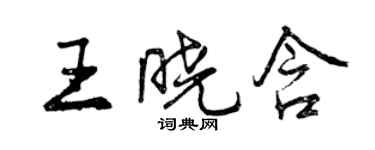 曾慶福王曉含行書個性簽名怎么寫