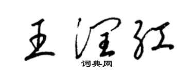 梁錦英王潤紅草書個性簽名怎么寫