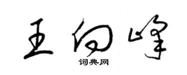 梁錦英王向峰草書個性簽名怎么寫