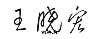駱恆光王曉宏草書個性簽名怎么寫