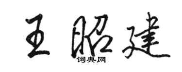 駱恆光王昭建行書個性簽名怎么寫
