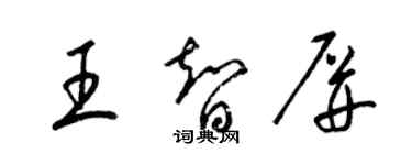 梁錦英王智屏草書個性簽名怎么寫