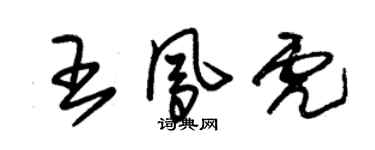 朱錫榮王鳳虎草書個性簽名怎么寫