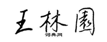 王正良王林園行書個性簽名怎么寫
