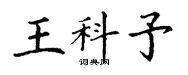 丁謙王科予楷書個性簽名怎么寫