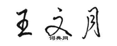 駱恆光王文月行書個性簽名怎么寫