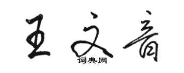 駱恆光王文音行書個性簽名怎么寫