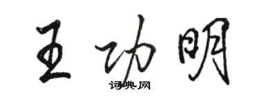 駱恆光王功明行書個性簽名怎么寫