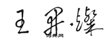 駱恆光王開燦草書個性簽名怎么寫