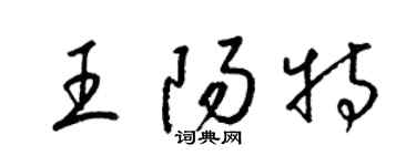 梁錦英王陽特草書個性簽名怎么寫