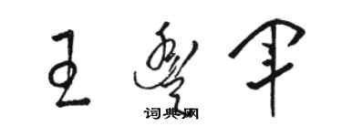 駱恆光王豐軍草書個性簽名怎么寫