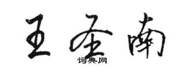 駱恆光王聖南行書個性簽名怎么寫