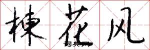 楝花風怎么寫好看
