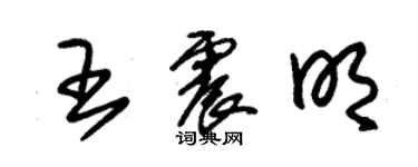 朱錫榮王震明草書個性簽名怎么寫