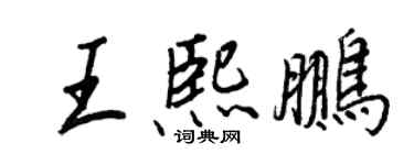 王正良王熙鵬行書個性簽名怎么寫