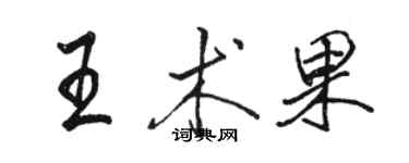 駱恆光王術果行書個性簽名怎么寫