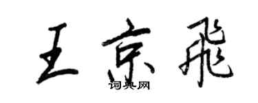 王正良王京飛行書個性簽名怎么寫