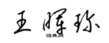 梁錦英王暉珍草書個性簽名怎么寫