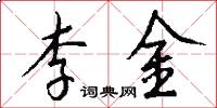 李金怎么寫好看