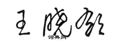 駱恆光王曉郁草書個性簽名怎么寫