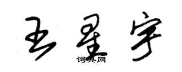 朱錫榮王星宇草書個性簽名怎么寫