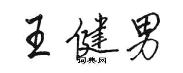 駱恆光王健男行書個性簽名怎么寫