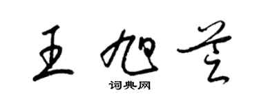 梁錦英王旭芝草書個性簽名怎么寫