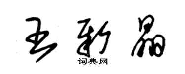 朱錫榮王新晶草書個性簽名怎么寫