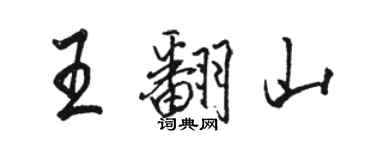 駱恆光王翻山行書個性簽名怎么寫