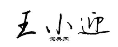 王正良王小迎行書個性簽名怎么寫