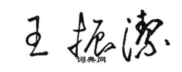 駱恆光王振潔草書個性簽名怎么寫
