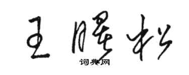 駱恆光王曙松草書個性簽名怎么寫