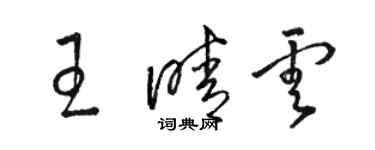 駱恆光王晴雲草書個性簽名怎么寫