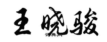 胡問遂王曉駿行書個性簽名怎么寫