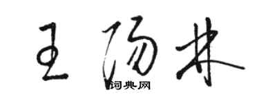 駱恆光王陽林草書個性簽名怎么寫