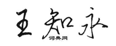 駱恆光王知永行書個性簽名怎么寫
