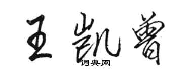 駱恆光王凱曾行書個性簽名怎么寫