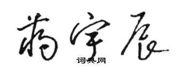 駱恆光蔣宇辰草書個性簽名怎么寫